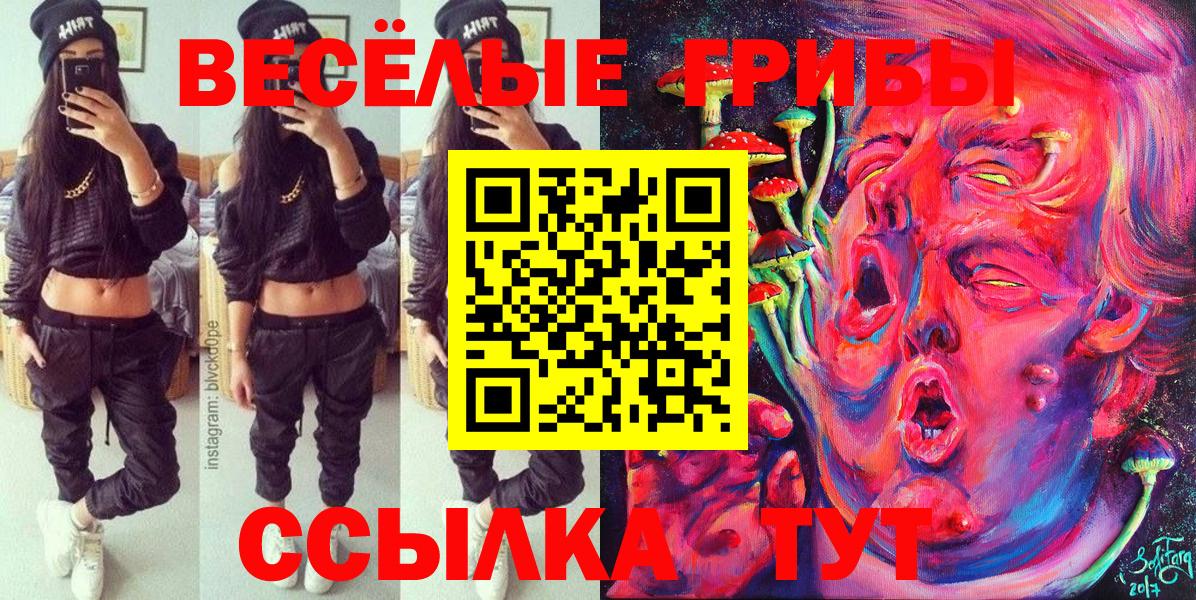 Рассказово  Галлюциногенные грибы Cubensis  Вход с VPN 