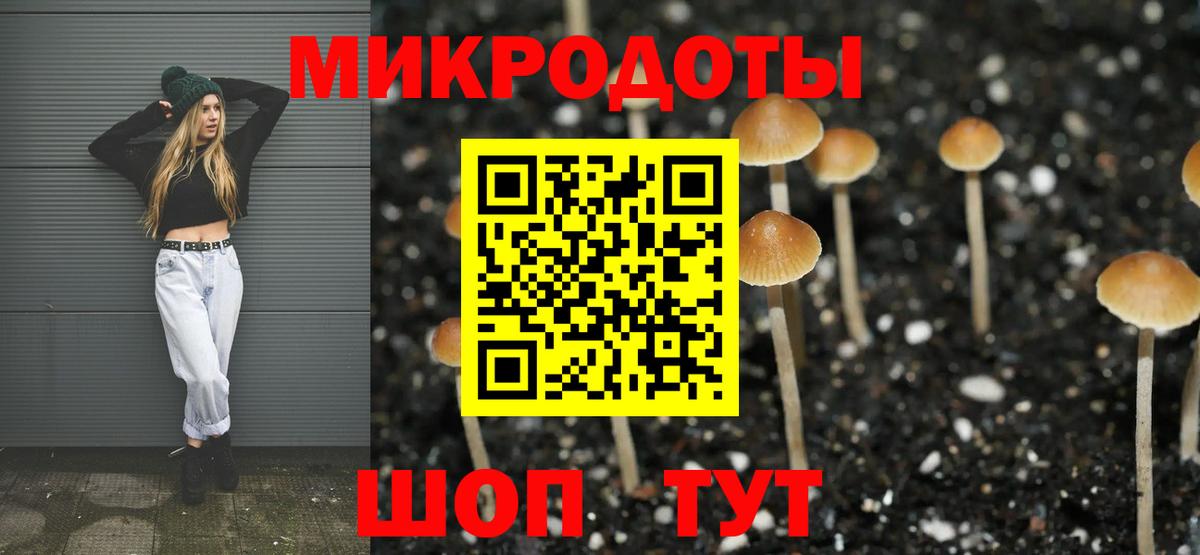 Галлюциногенные грибы GOLDEN TEACHER Рассказово